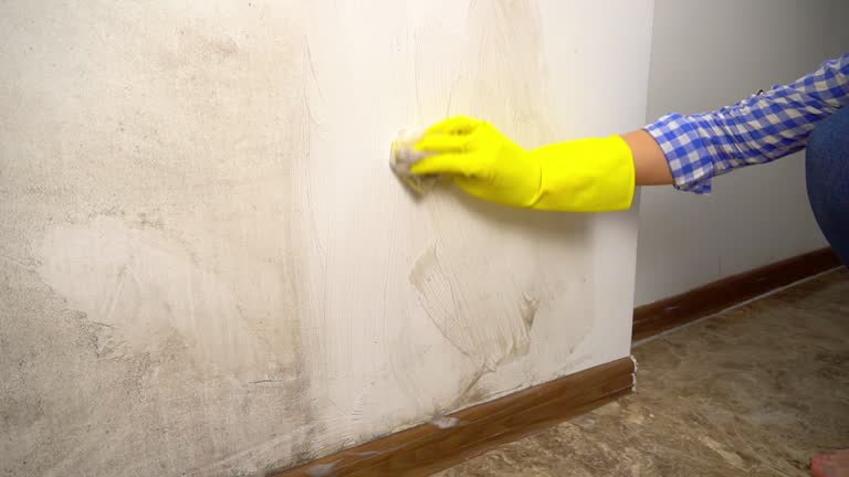 Reliable Berkeley Lake, GA Mold Removal Solutions